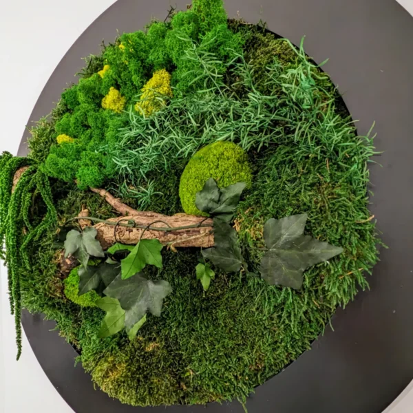 Moss Forest Circle - Image 8