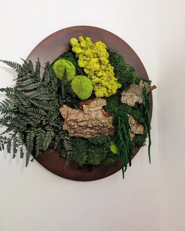 Moss Forest Circle - Image 7
