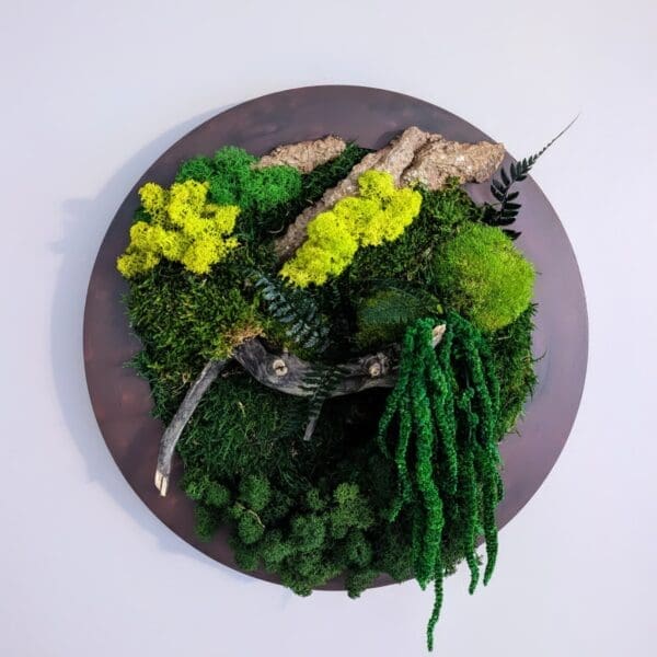 Moss Forest Circle - Image 4