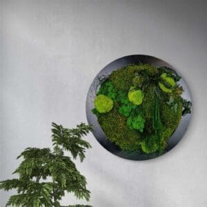 Moss Forest Circle