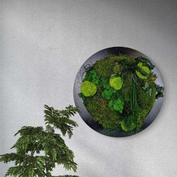 Moss Forest Circle