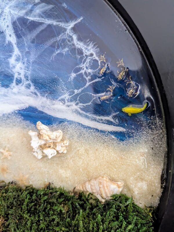 Beach themed decor - Image 4