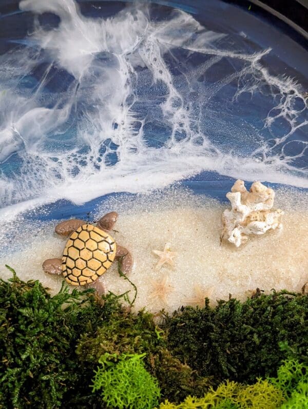 Beach themed decor - Image 5