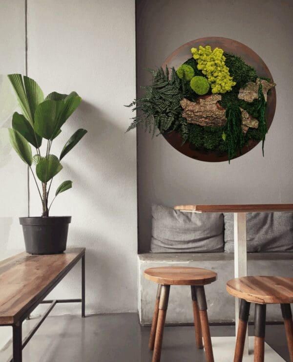 Moss Forest Circle - Image 10