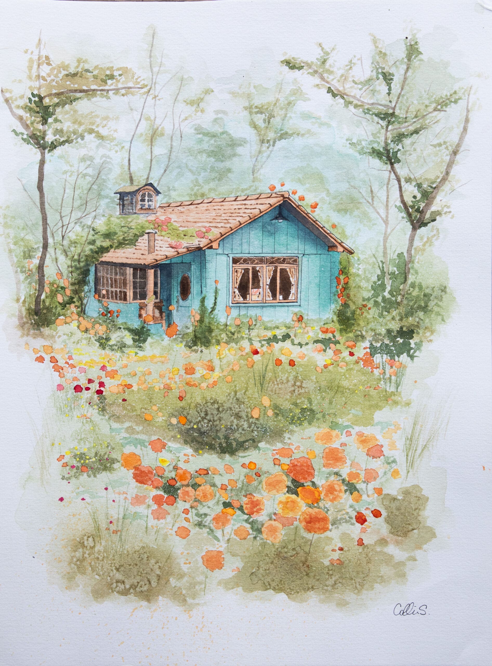 Forest Cottage