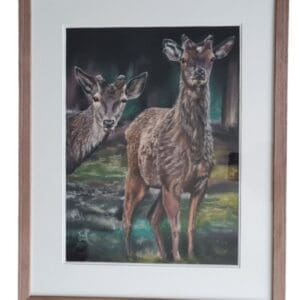 Framed pastel painting of two deer standing quietly among trees in a forest setting. The artwork is highly detailed, featuring soft natural tones, realistic fur textures, and gentle light filtering through foliage. Professionally framed with a double mount and glass.