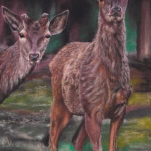 Framed pastel painting of two deer standing quietly among trees in a forest setting. The artwork is highly detailed, featuring soft natural tones, realistic fur textures, and gentle light filtering through foliage. Professionally framed with a double mount and glass.