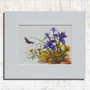 Wild Irises and Corn Marigolds Print Primary