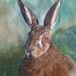 In the Meadow - Original soft pastel wildlife hare portrait