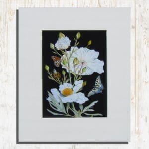 California Tree Poppy Print Primary