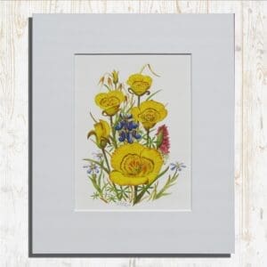 Yellow Mariposa Lilies Print Primary